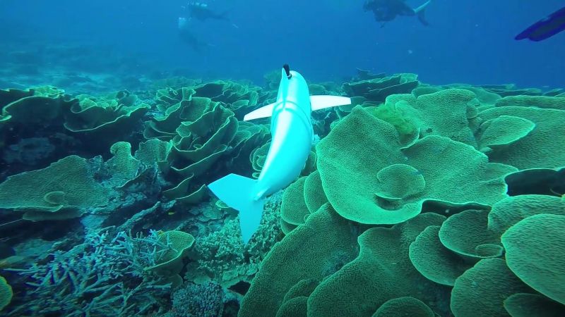 SoFi un poisson-robot pour l'exploration sous-marine